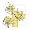 Toning Lotion resmi