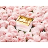 Especially Escada Perfume resmi