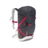 Mountain Backpack Forclaz 20 resmi